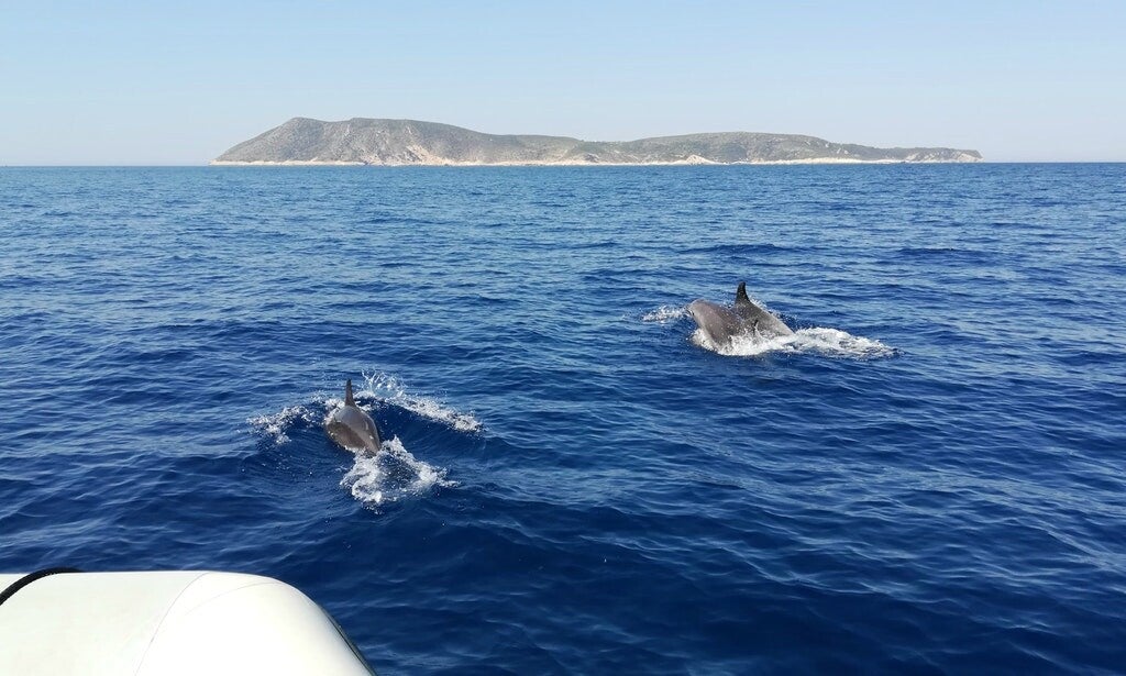 Hvar boat tour from Split