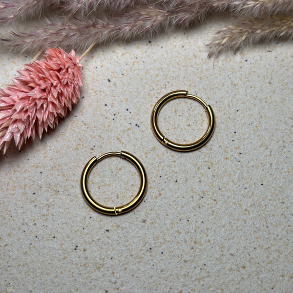 2 stuks stainless steel oorbellen. Gold plated