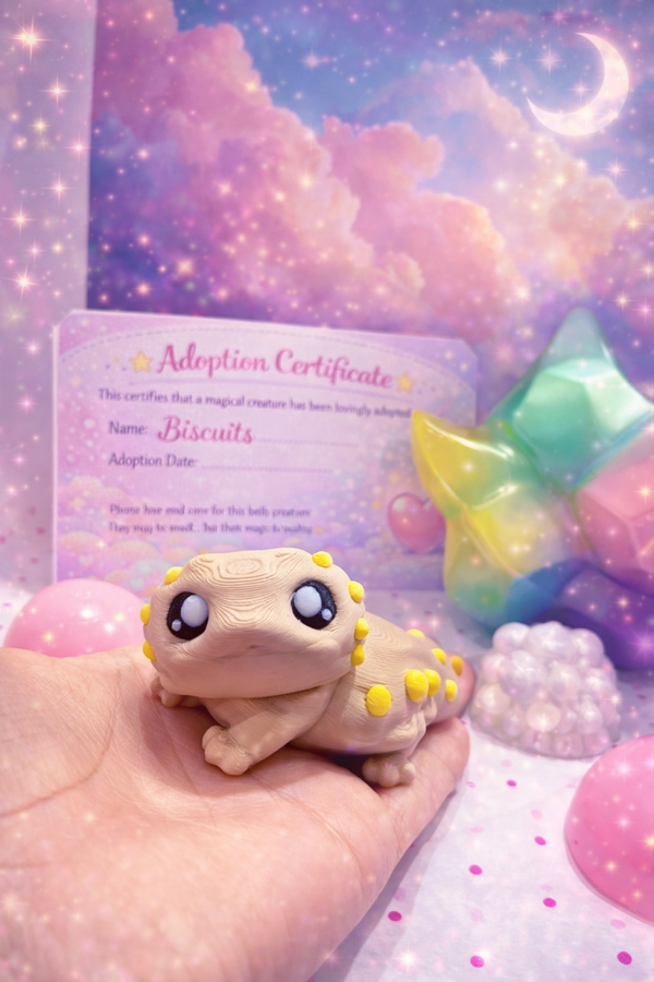 Starter adoption bundle
