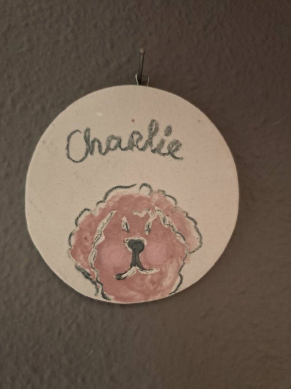 Wandhanger HUISDIER - made by @MA_ART_JE