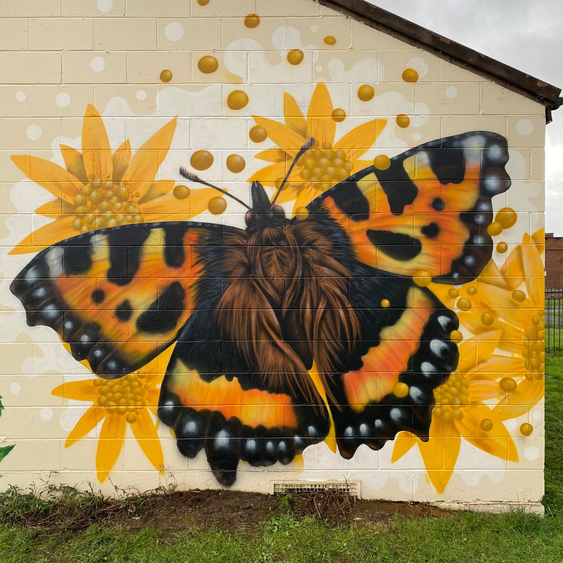 Butterfly
