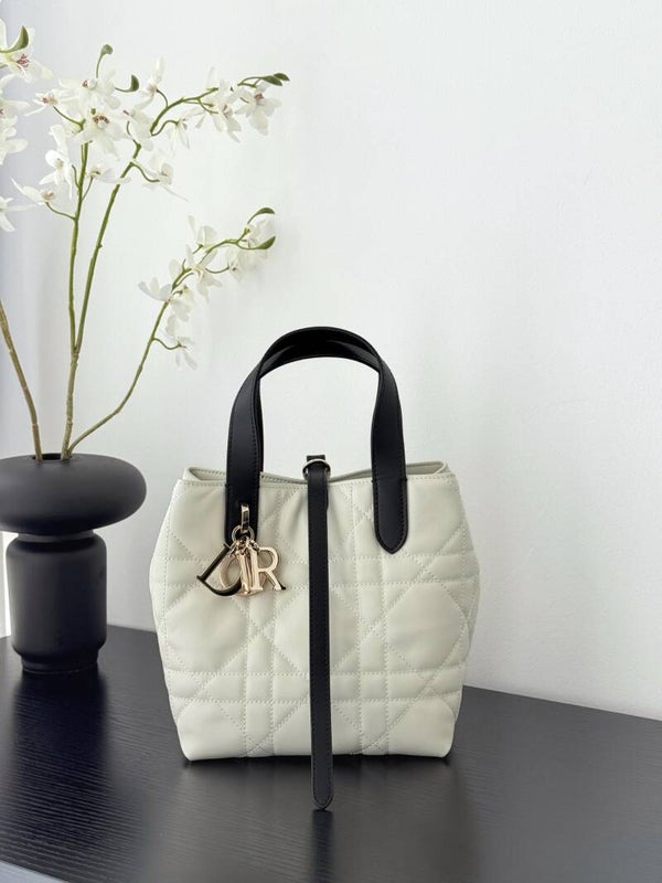 Dior Small Dior Toujours Vertical Tote Bag