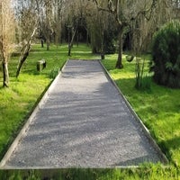 terrain-petanque-standard-u4h5na.jpg