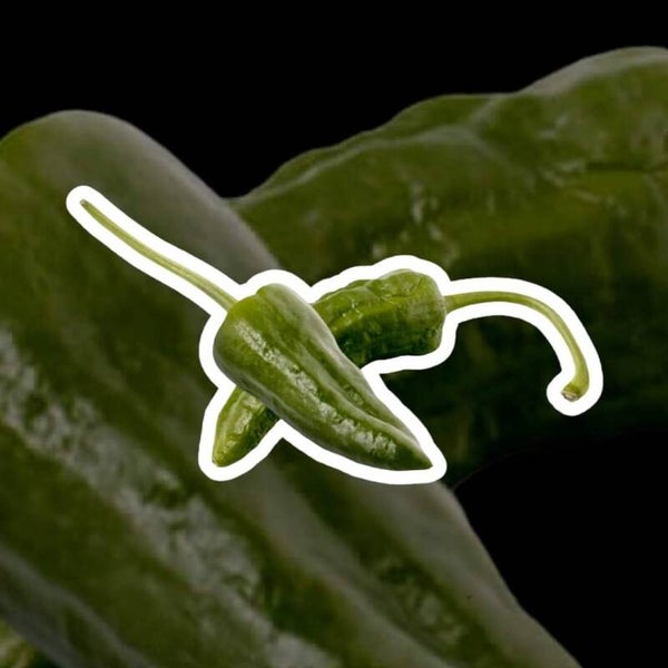 Peper Pardon zaden