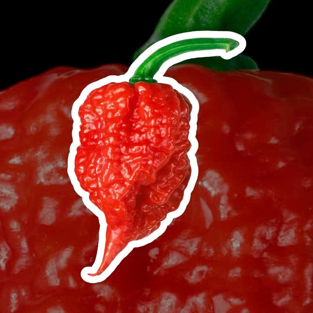 Carolina Reaper zaden Hetepepperz