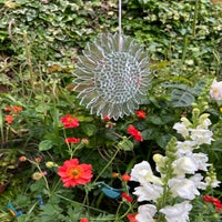img_5769-standard.jpg
