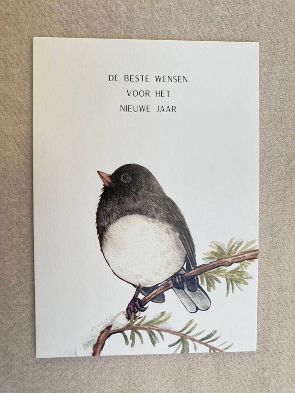Kaart 'vogel'
