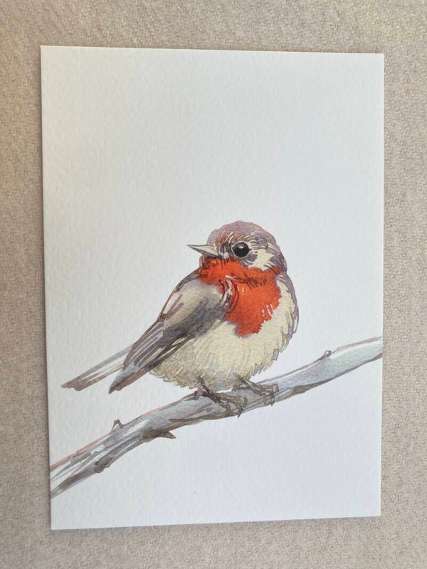 Kaart 'roodborstje' (inclusief sticker)