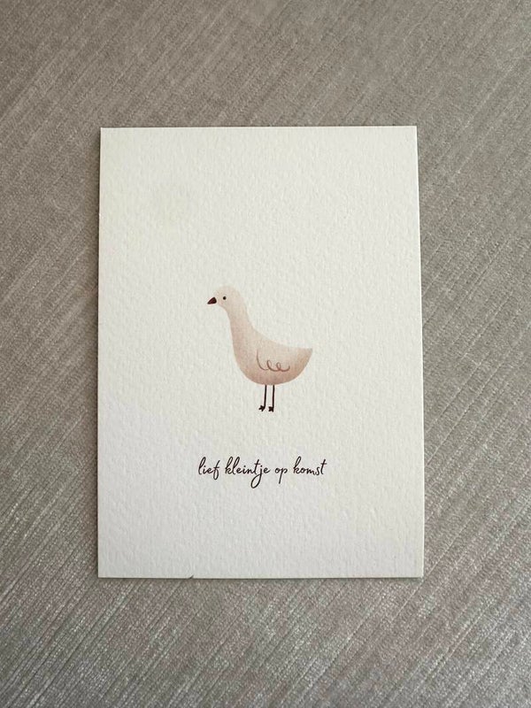 Kaart 'lief kleintje op komst, gansje'