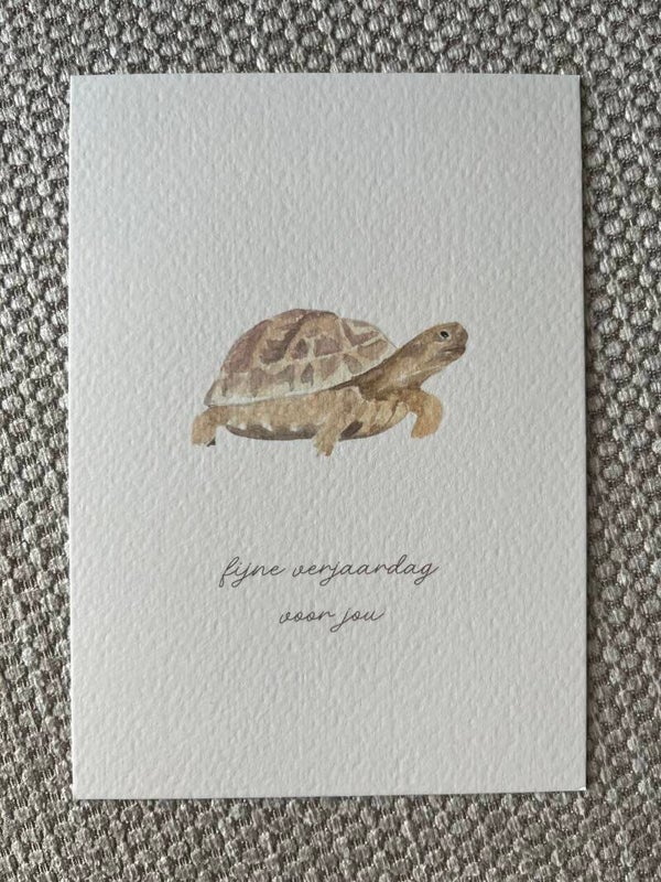 Kaart 'fijne verjaardag, schildpad'