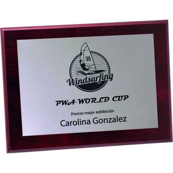 PLACA 17-000 PLATA