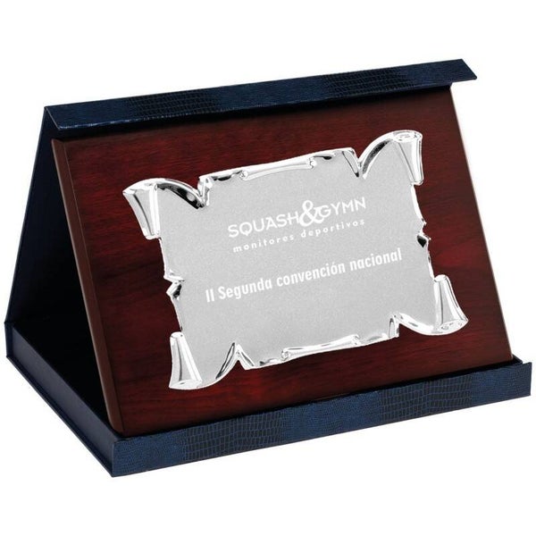 PLACA MINI 17-042 PLATA