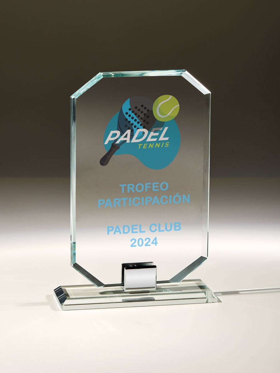 Trofeo de cristal 156-2500
