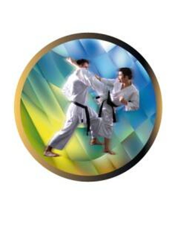 Disco epoxy karate