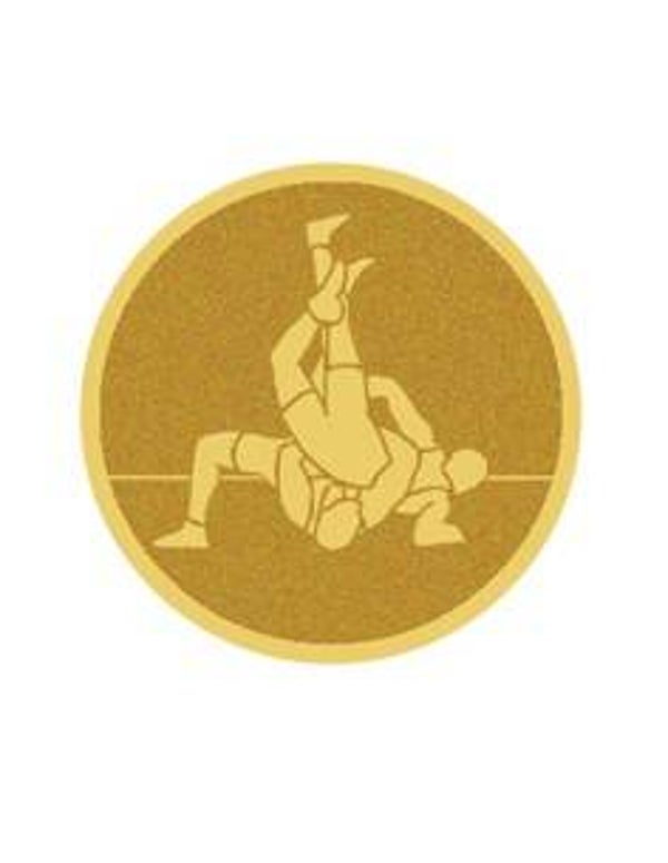 Disco aluminio lucha