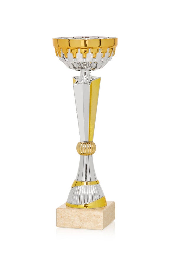 Copa económica 61-719