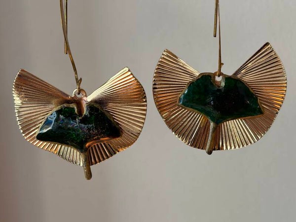 Gingko vert mystère