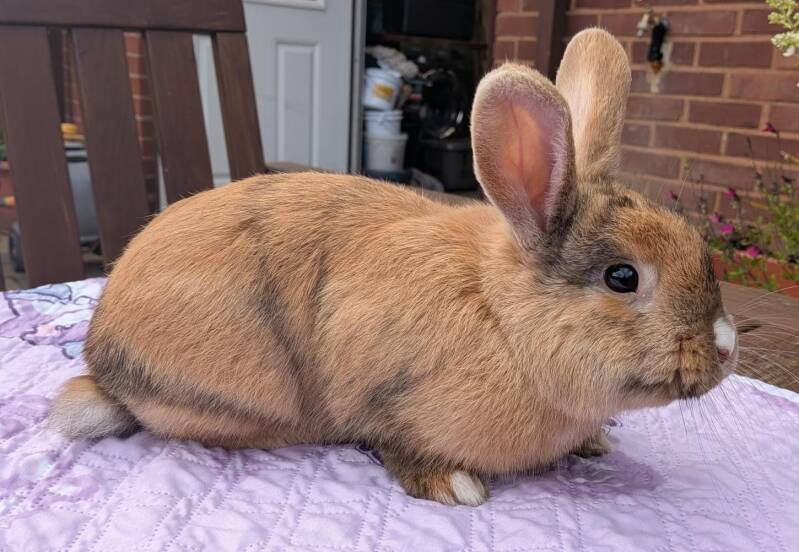 Harry Kane 🐰 — photo 2