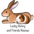 Lucky Bunny and Friends Rescue