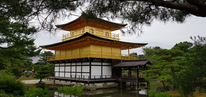 Goldener Pavillon  | www.japan-reise.com