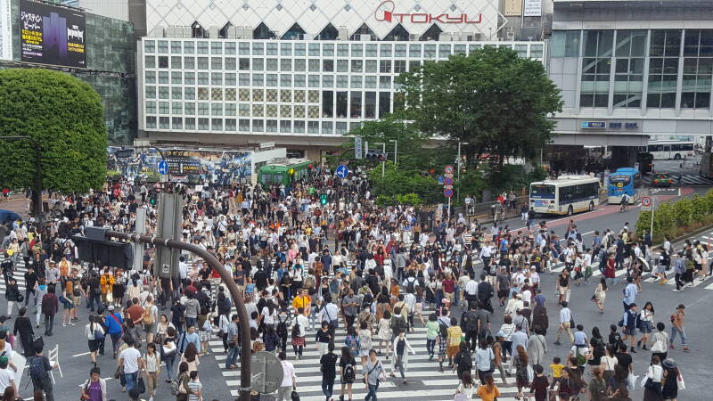 Shibuya Crossing  | www.japan-tours.de