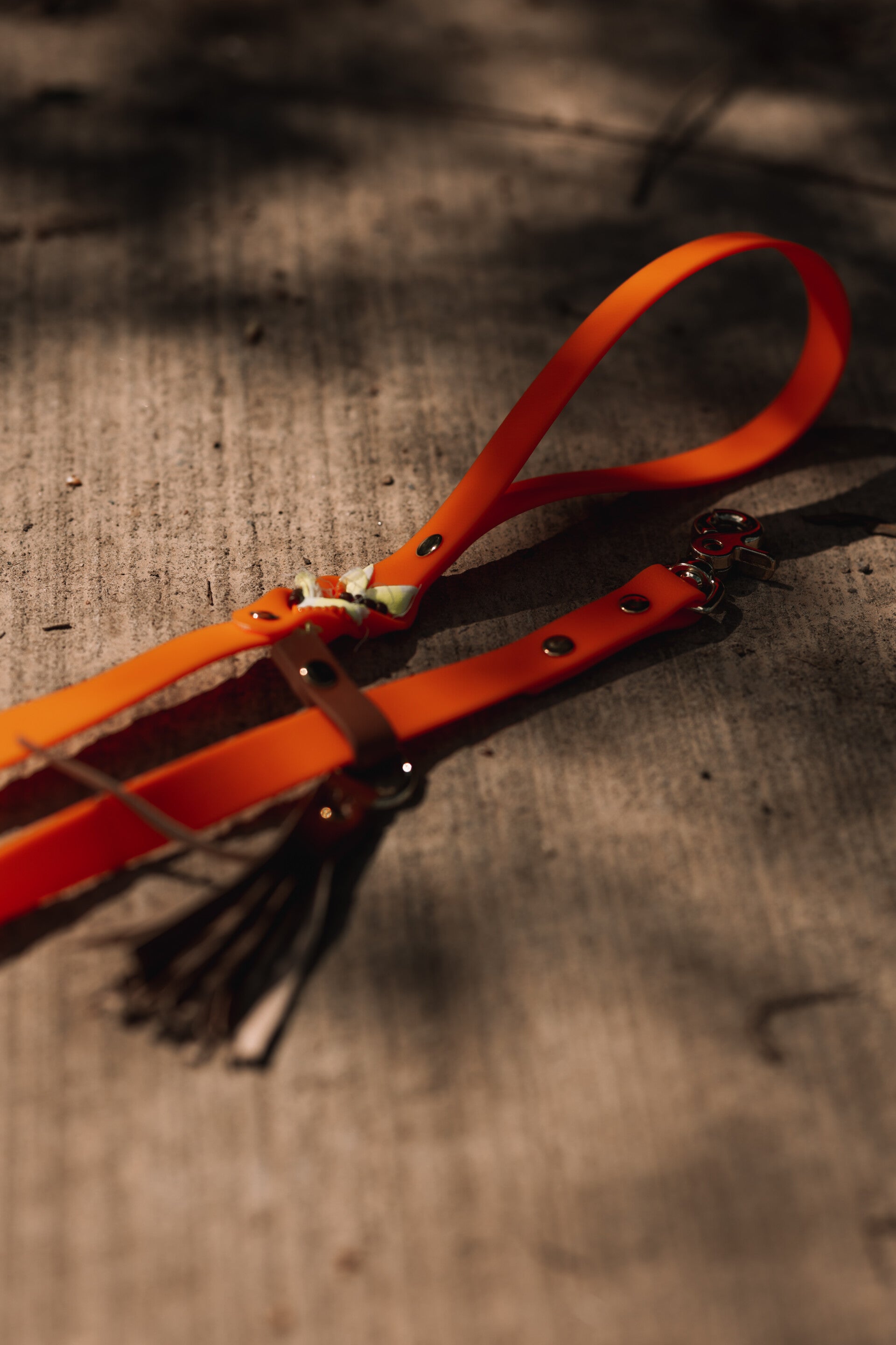 MORE SUMMER LEASH ORANGE