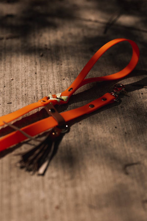 MORE SUMMER LEASH ORANGE