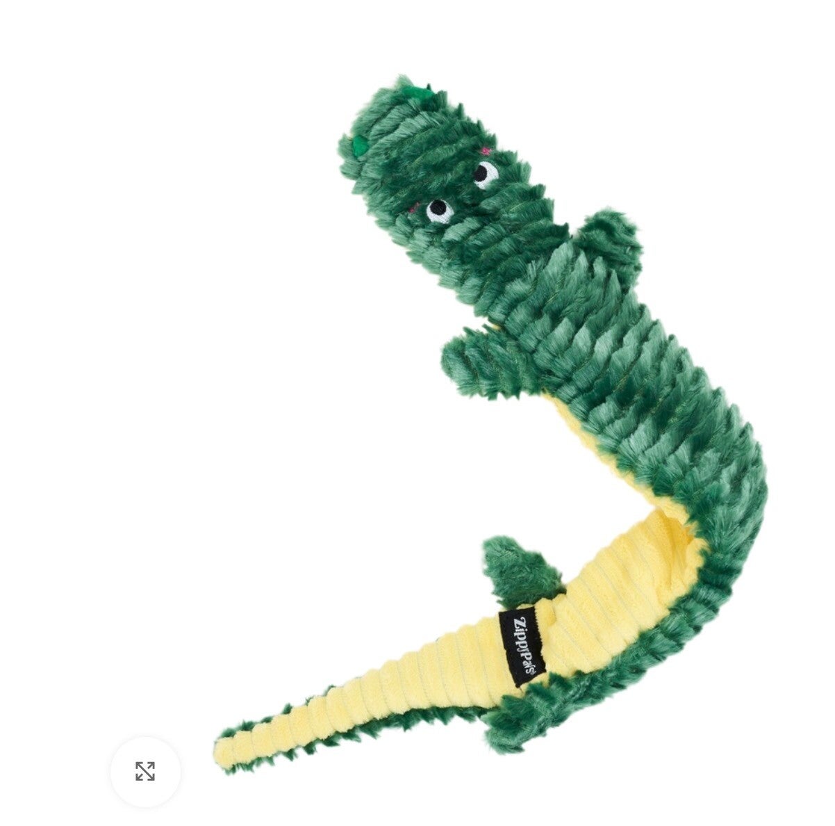 Alligator
