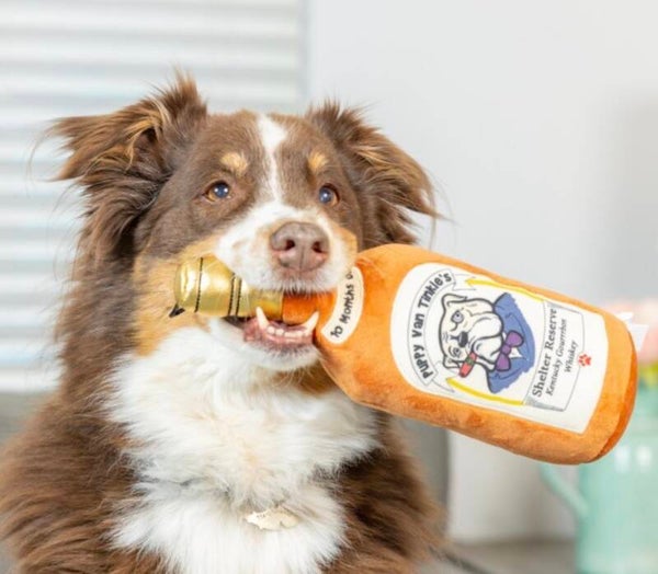 Whiskey large