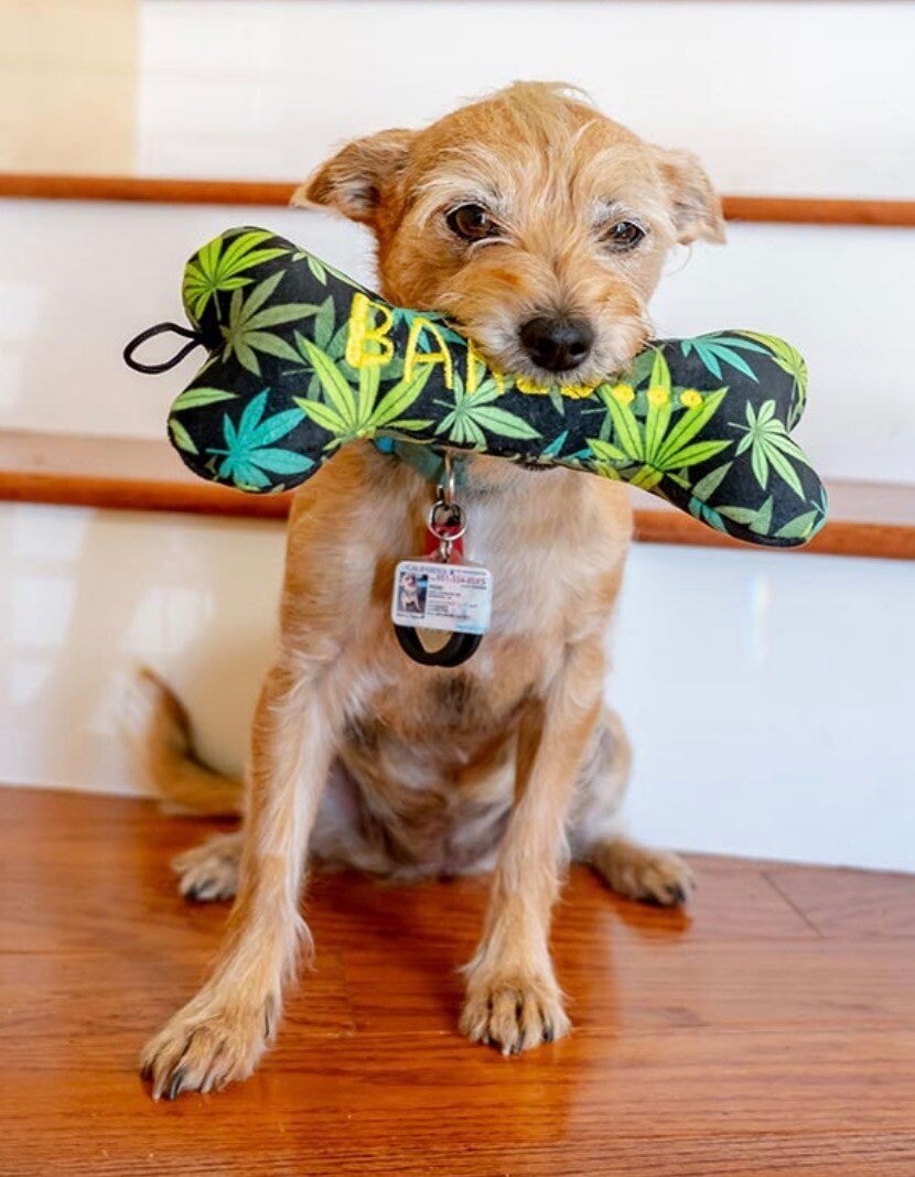 Baked