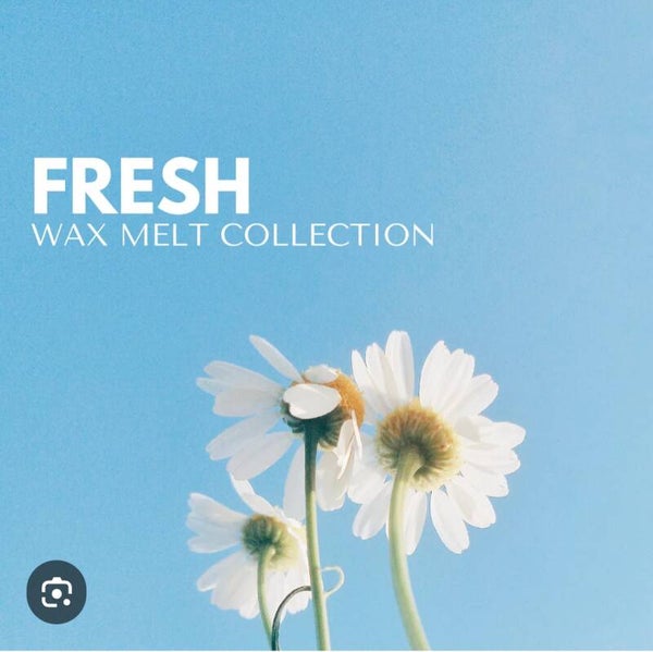 Fresh Inspired Wax Bars