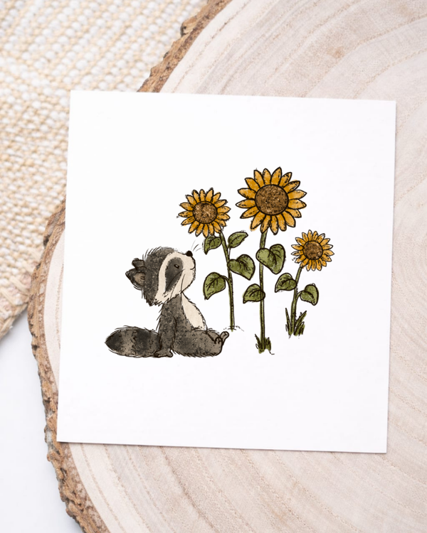 Waschbär beobachtet Sonnenblumen