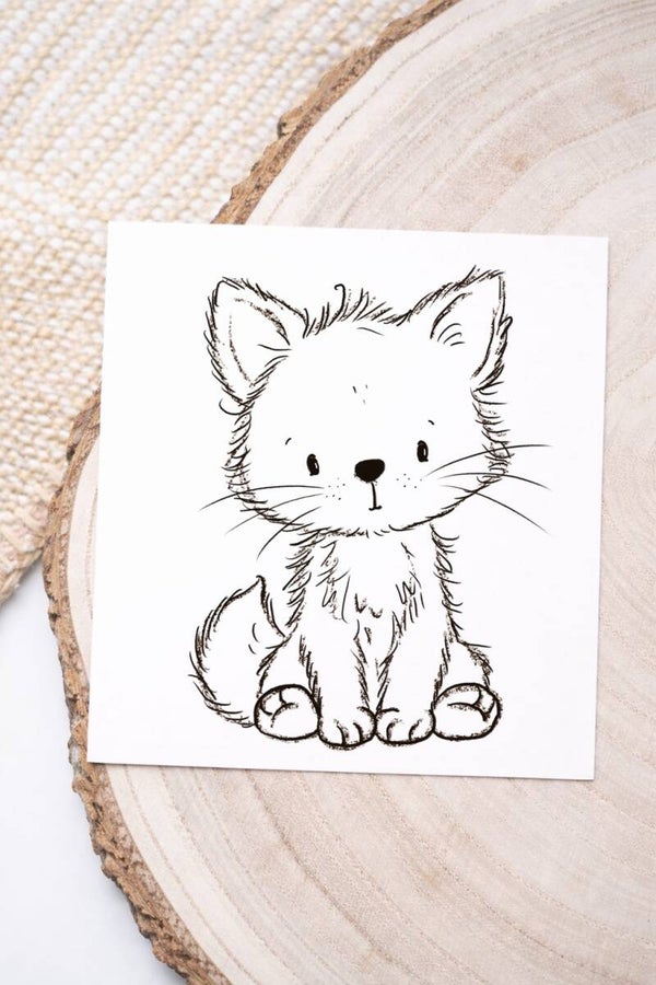 Fuchs Outline