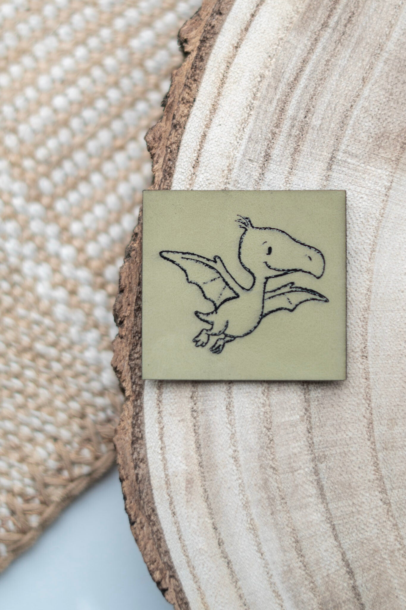 Dino Pteranodon Outline Label