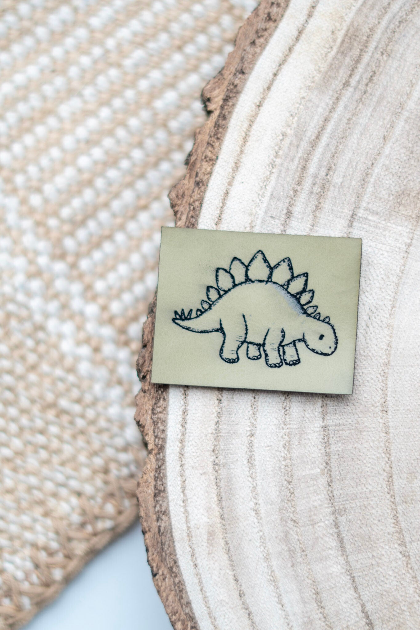Dino Stegosaurus Outline Label
