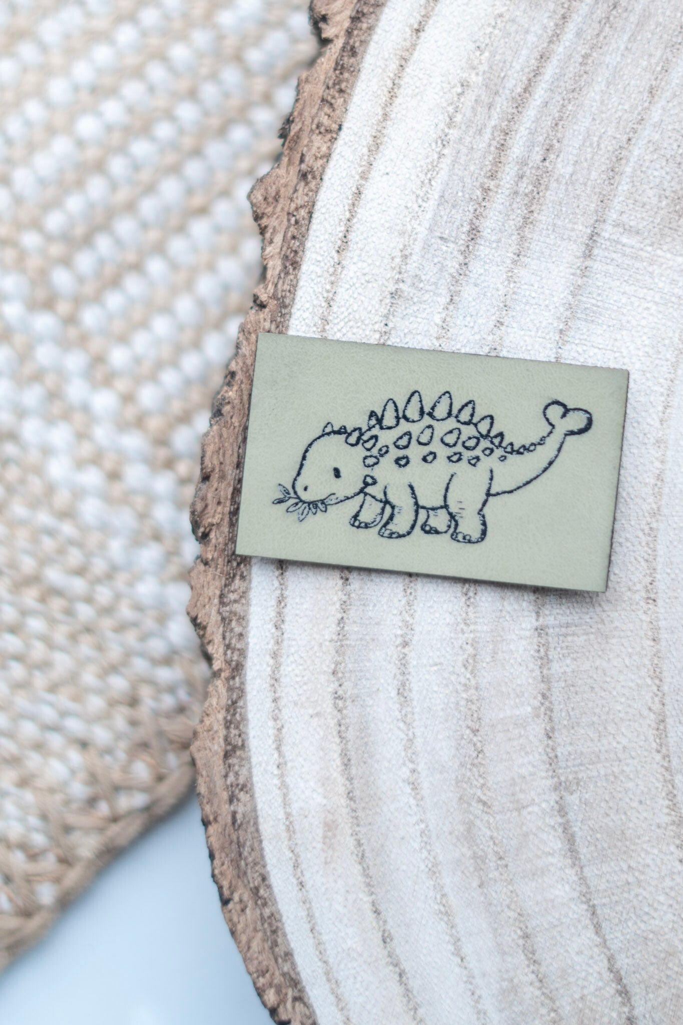 Dino Ankylosaurus Outline Label
