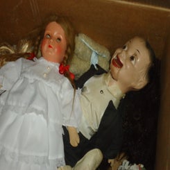 dsc00626-standard-k1n9z2.jpg