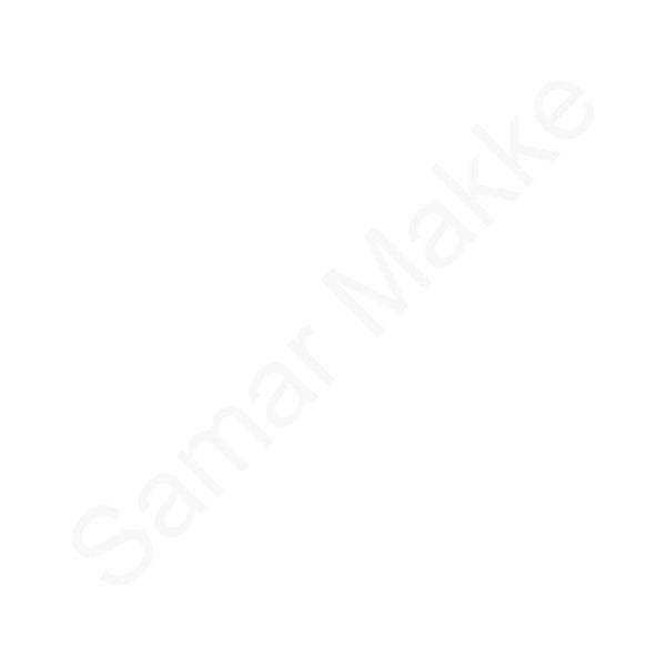 Siser Easy Weed AM0001-MAT WIT