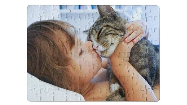 Les puzzles