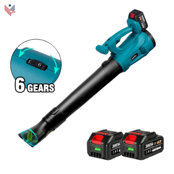 bladblazer accu - Bladblazer - bladzuiger