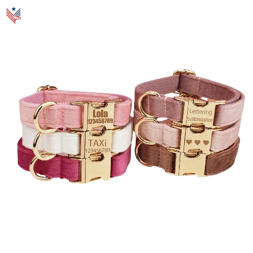 Elegante Gepersonaliseerde Hondenhalsband en Riem Set | Op Maat