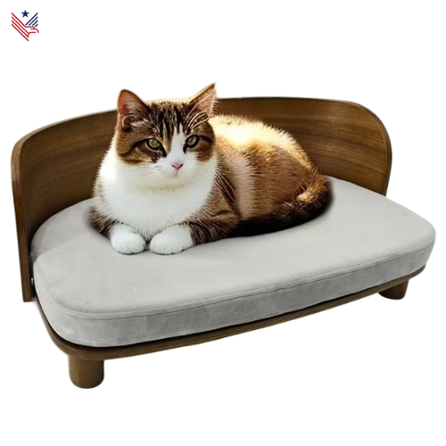 Verhoogd Kattenbank/Hondenbed - met Afneembare Hoes – Design Slaapbank voor Kleine Honden & Katten – Comfortabel Huisdierenmeubel met Massief Hout en Gebogen Rugleuning