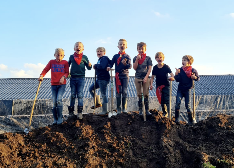 Kato keigaaf brabant rimpelaar 71