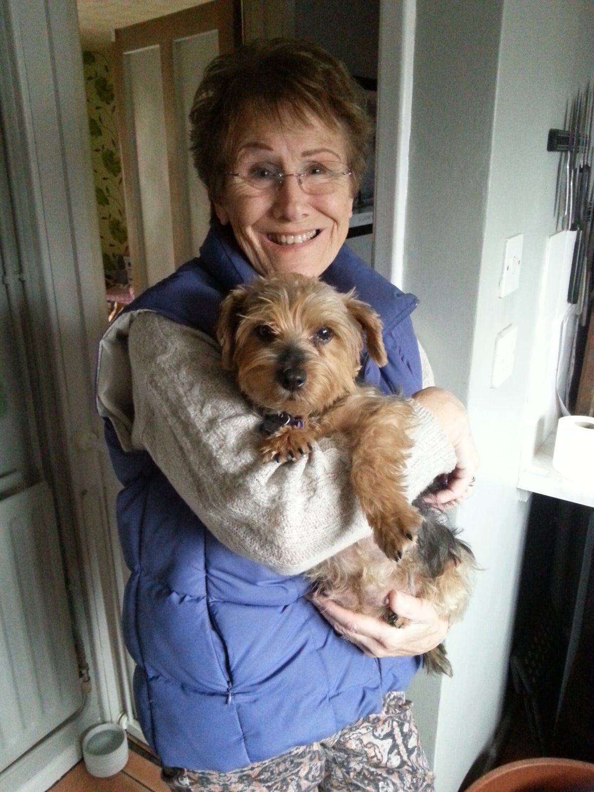 Current litters pull emtug emterriers