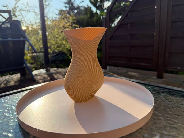 Organic Flow Vase