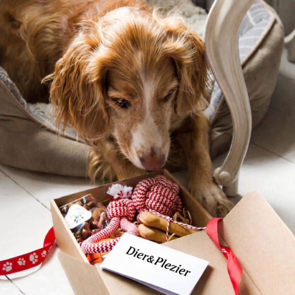 Verassingspakket hond 🐕