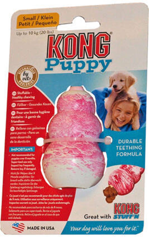 Kong puppy