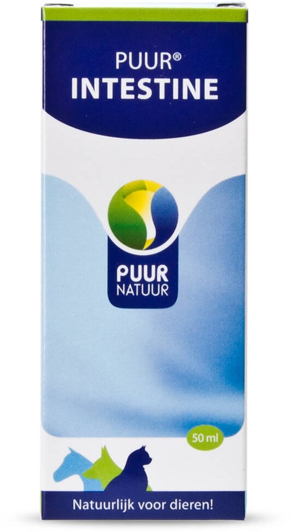 Puur Intestine/Darm 50ml