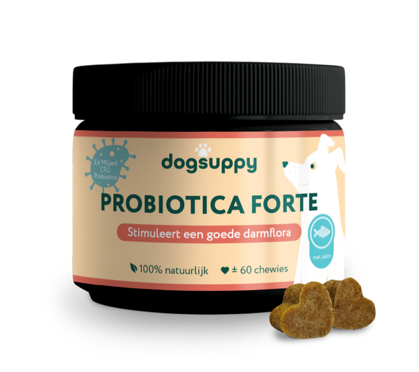 DogSuppy Probiotica Forte Zalm 180gram