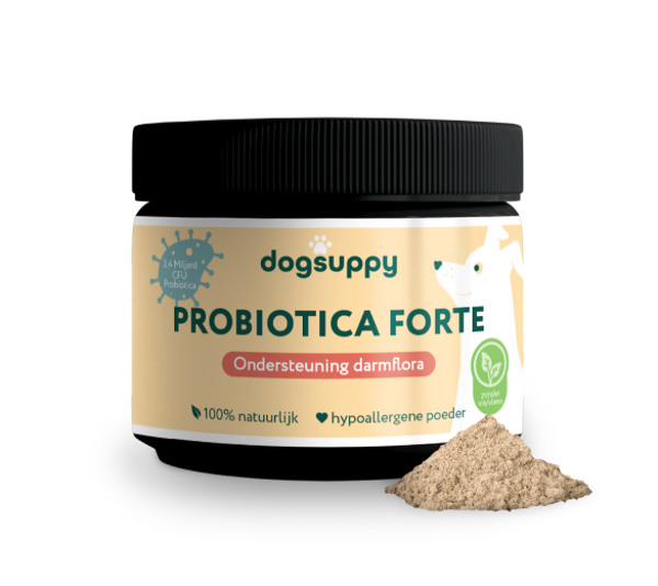 DogSuppy Probiotica Forte Poeder 180gram